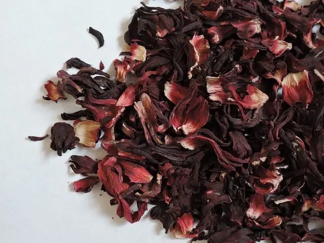 karkade-hibiscus-fleurs