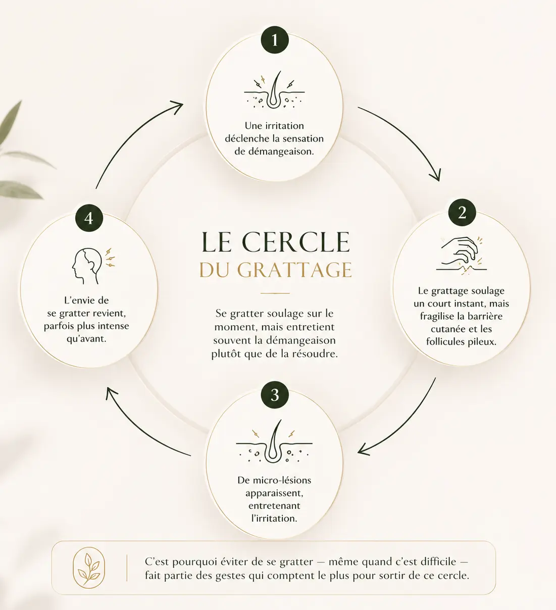 Le cercle du grattage : pourquoi se gratter aggrave les démangeaisons du cuir chevelu